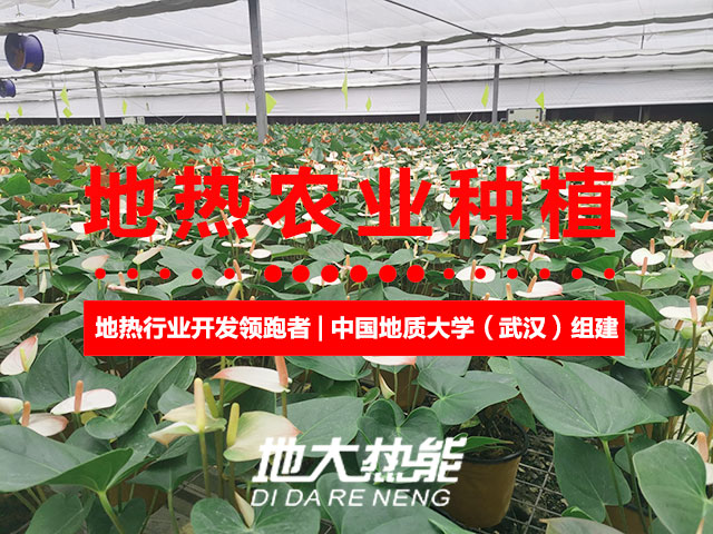 濟(jì)南：“地?zé)崮?農(nóng)業(yè)”產(chǎn)業(yè)融合，讓地?zé)崮苷嬲盁帷逼饋?地大熱能