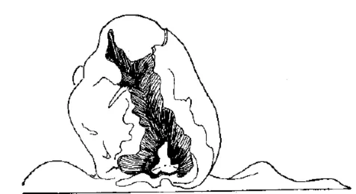 盤點(diǎn)各類地質(zhì)地貌類型-地?zé)豳Y源開(kāi)發(fā)-地大熱能