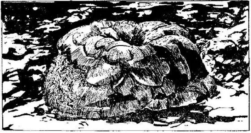 盤點(diǎn)各類地質(zhì)地貌類型-地?zé)豳Y源開(kāi)發(fā)-地大熱能